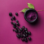 Chokeberry, an ingredient in BestLab Best4Kids