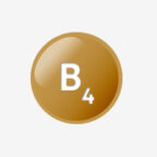 Choline (vitamin B4)