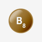 in-b8