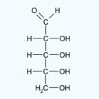 D-ribose, an ingredient in BestLab BestElectrolytes
