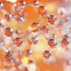Collagen peptides, the base of BestLab Best Collagen