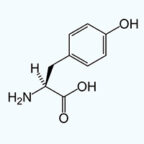 Chemical structure diagram of tyrosine, showing a benzene ring with an -OH group, an amino group (NH2), a carboxyl group (COOH), and a side chain with a hydroxyl group. UK