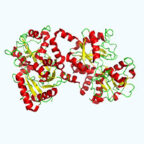 A ribbon diagram of a protein structure with red helices, yellow strands, and green loops, showing a complex, folded arrangement on a light background. UK