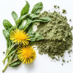 Fresh green dandelion leaves and two yellow dandelion flowers are placed next to a pile of green powder on a white background. UK