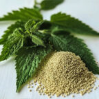A pile of small, round seeds sits next to fresh green nettle leaves on a white surface. UK