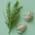 A sprig of green foliage lies next to two small piles of greenish and off-white powder on a light green background. UK