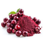 A pile of deep red cranberry powder sits next to whole fresh cranberries, with a green leaf in the background, all on a white surface. UK