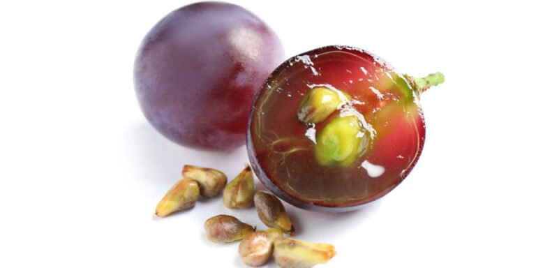 a whole purple grape and a halved grape showing its juicy interior and pips, with several loose grape pips scattered nearby, all on a white background. uk
