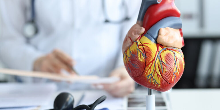 a detailed anatomical model of a human heart is displayed on a desk, with a doctor in a white coat and stethoscope blurred in the background, reviewing medical documents. uk