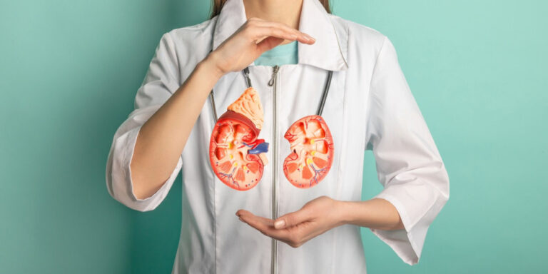 a person in a white lab coat holds their hands around an illustrated image of human kidneys, which appear superimposed on their torso, symbolising kidney health or medical care. uk