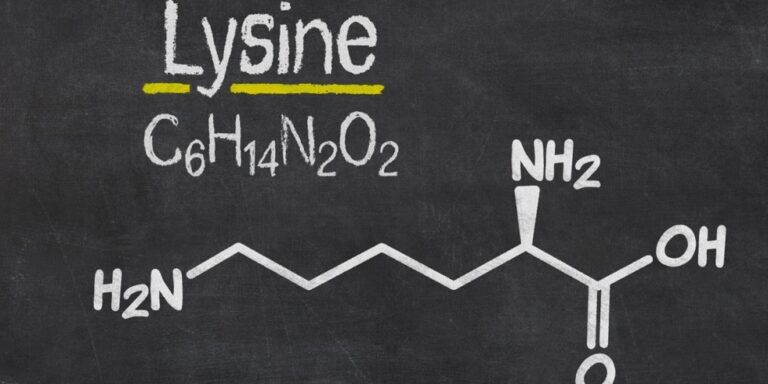 chalkboard drawing showing the word lysine, its chemical formula c6h14n2o2, and the structural formula of the lysine amino acid. uk